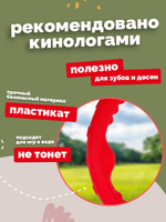 ZOONIK Игрушка "Кольцо плавающее большое", 24,5 см (пластикат)