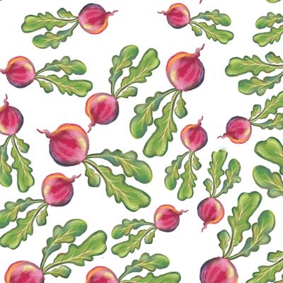 radish seamless pattern, print and quality illustration
