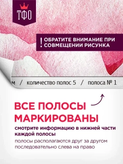 Топ Фотообои / Полевые цветы в пастельных оттенках / 300х270