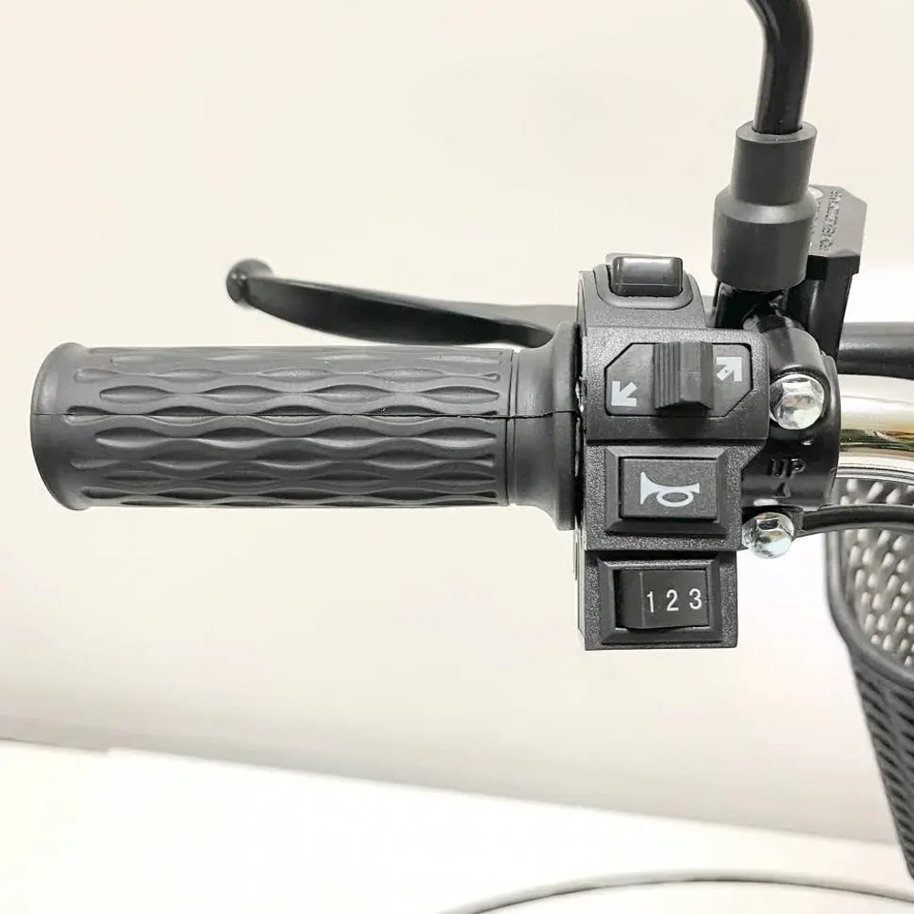 Электровелосипед Green Camel Транк 18 V8 40км