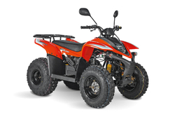 Квадроцикл Baltmotors JAM 100 куб.см. с тайваньским двигателем объёмом 100 куб.см и мощностью 7.9 л.с.