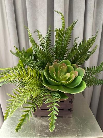 Микс зелени с суккулентом в ящике (палисандр), в-37 см, д-40 см