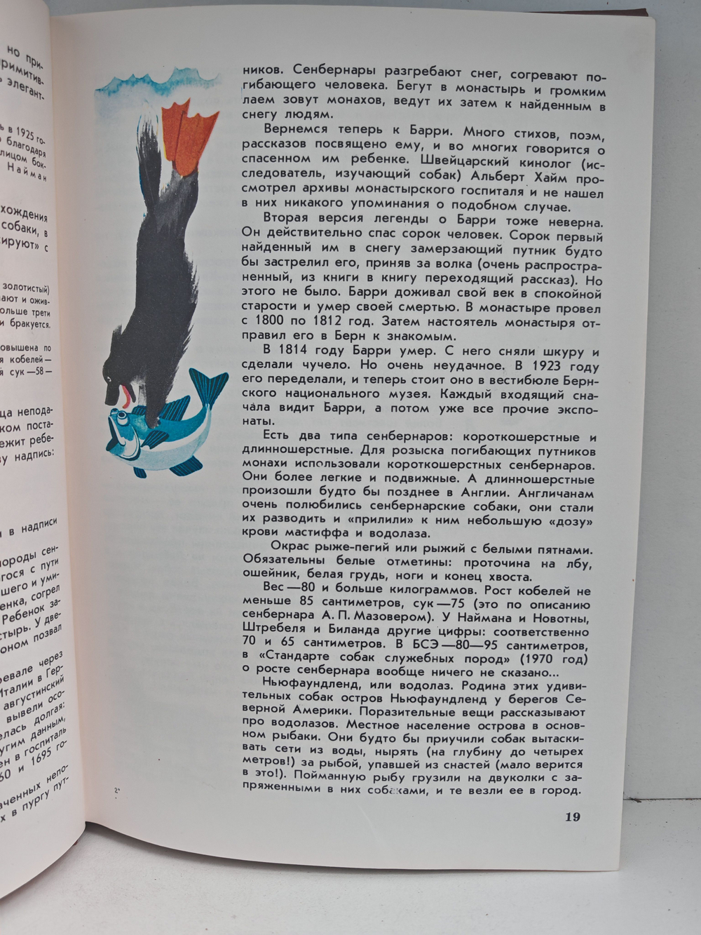 Мир животных. Рассказы о домашних животных