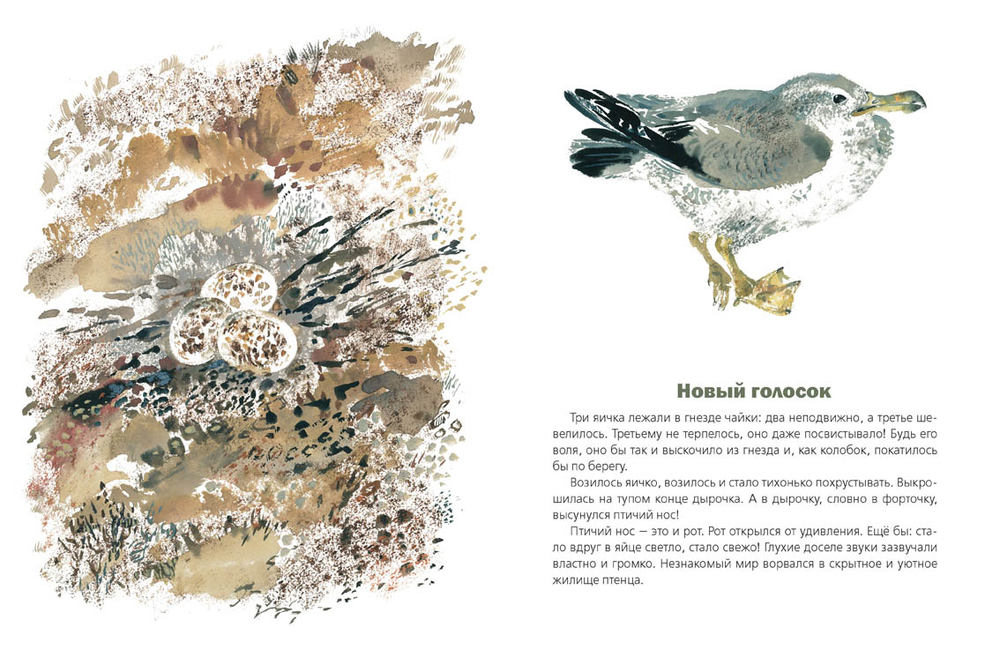 С днём Рождения!