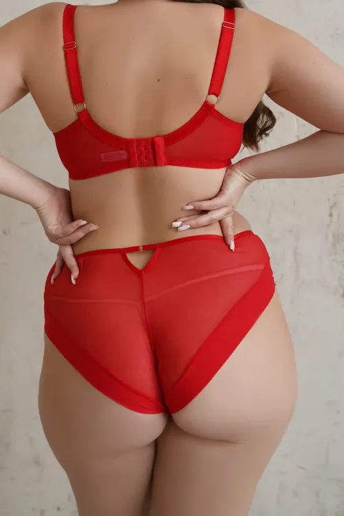 Трусы Subtille Valeria высокие (алый)