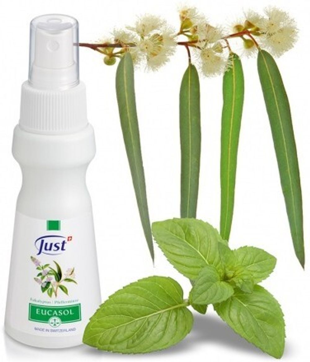 Спрей Эвкалипт JUST Eucasol 75 мл