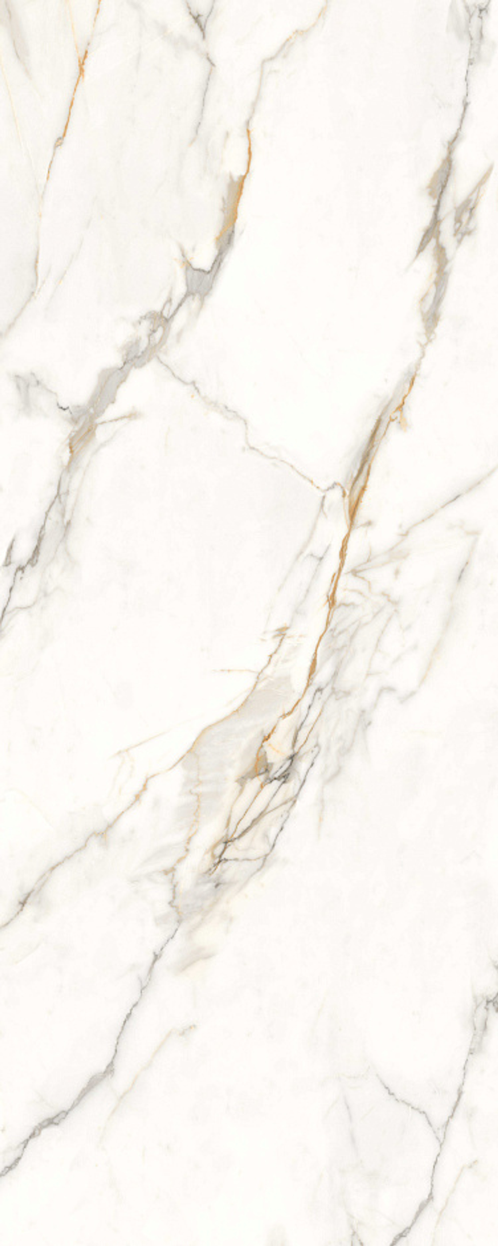 Franca gold Structure 120x300