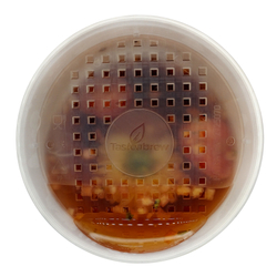 Чай Tasteabrew Цейлон С КЛУБНИКОЙ И ХРИЗАНТЕМОЙ (для стаканчика)