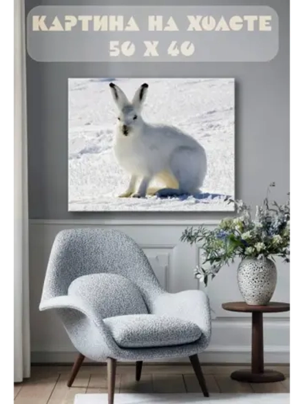 Картина на стену 40 X 50 Заяц