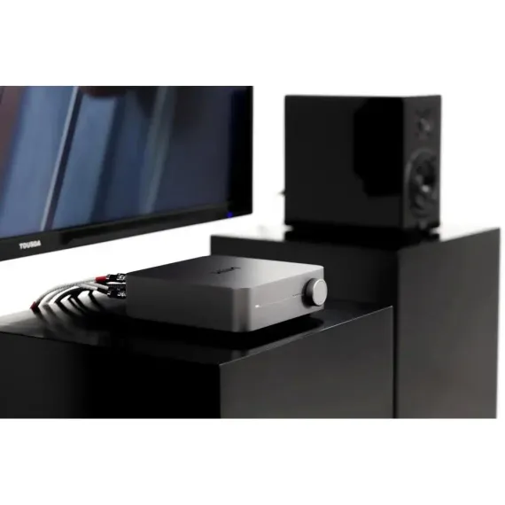 Amphion Argon0 + WiiM AMP + AudioQuest SLIP-DB 14/2