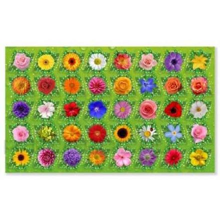 Шашки деревянные с доской, Десятое королевство