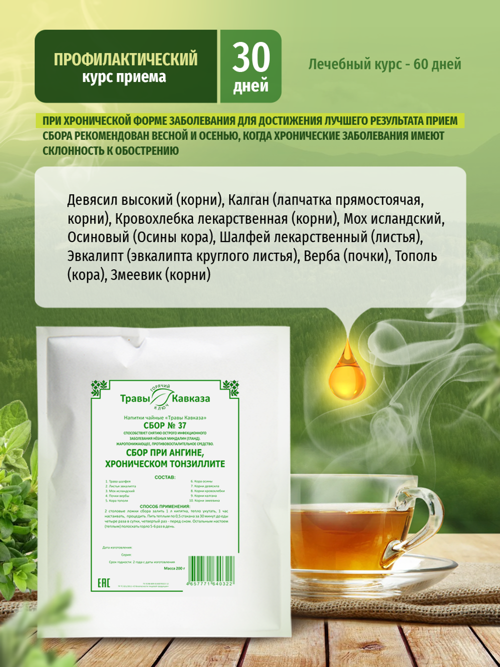 Сбор № 37 при ангине, хроническом тонзиллите