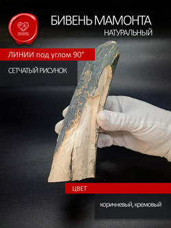 Острие бивня мамонта для коллекции