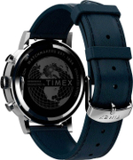 Мужские наручные часы Timex TW2V36800