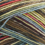 Regia Anniversary Color 4 ply - 04077 (murphy color)