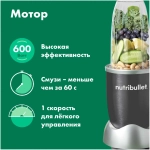 Блендер стационарный Nutribullet NB607DG (q)