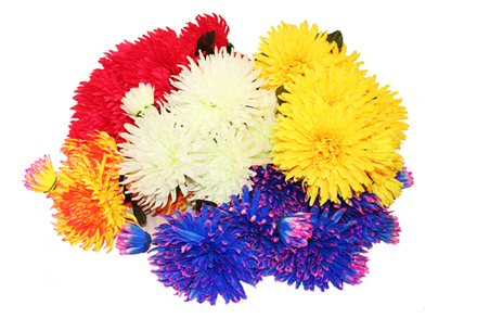 Букет астр с бутончиком