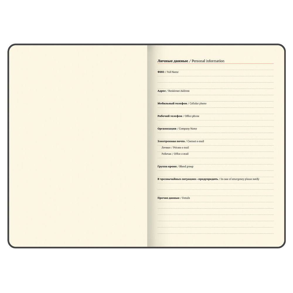 Еженедельник датированный А4 BRAUBERG "Iguana" под кожу черный (117153) 7