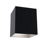 Накладной светильник Maytoni Alfa C015CL-01B