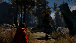 Through the Woods (для ПК, цифровой код доступа)