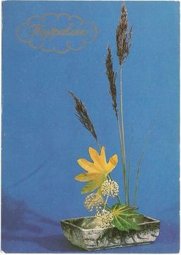 Открытка "Поздравляю!" фото В. Барышникова