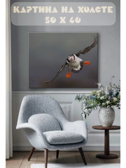 Картина на стену 40 X 50 Птица Тупик