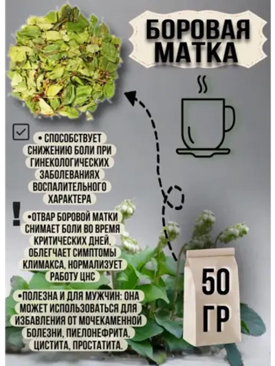 Боровая матка сушеная