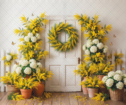 Дверь - мимоза - гортензии - фон неопреновый