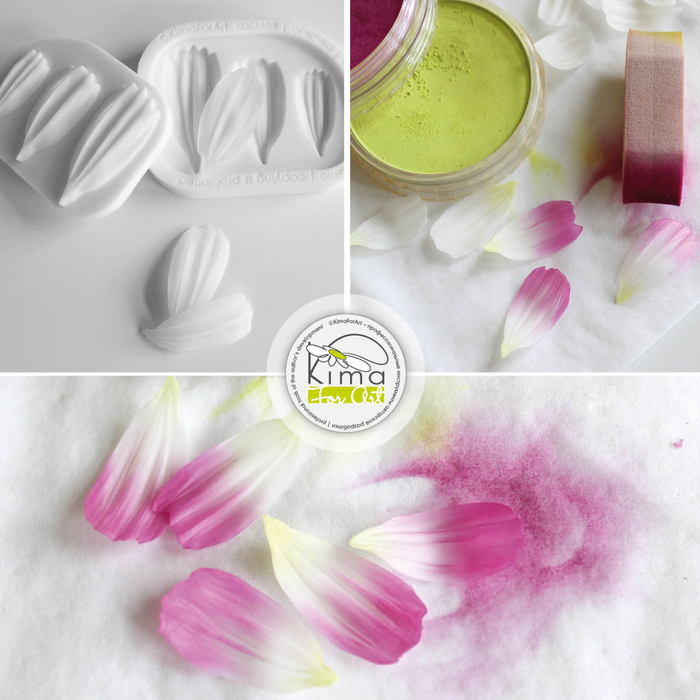 Космея лепестки