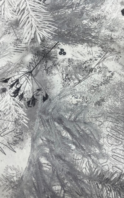 Ткань "АЛОВА" с мембранным водоотталкивающим покрытием, 160 гр/м2