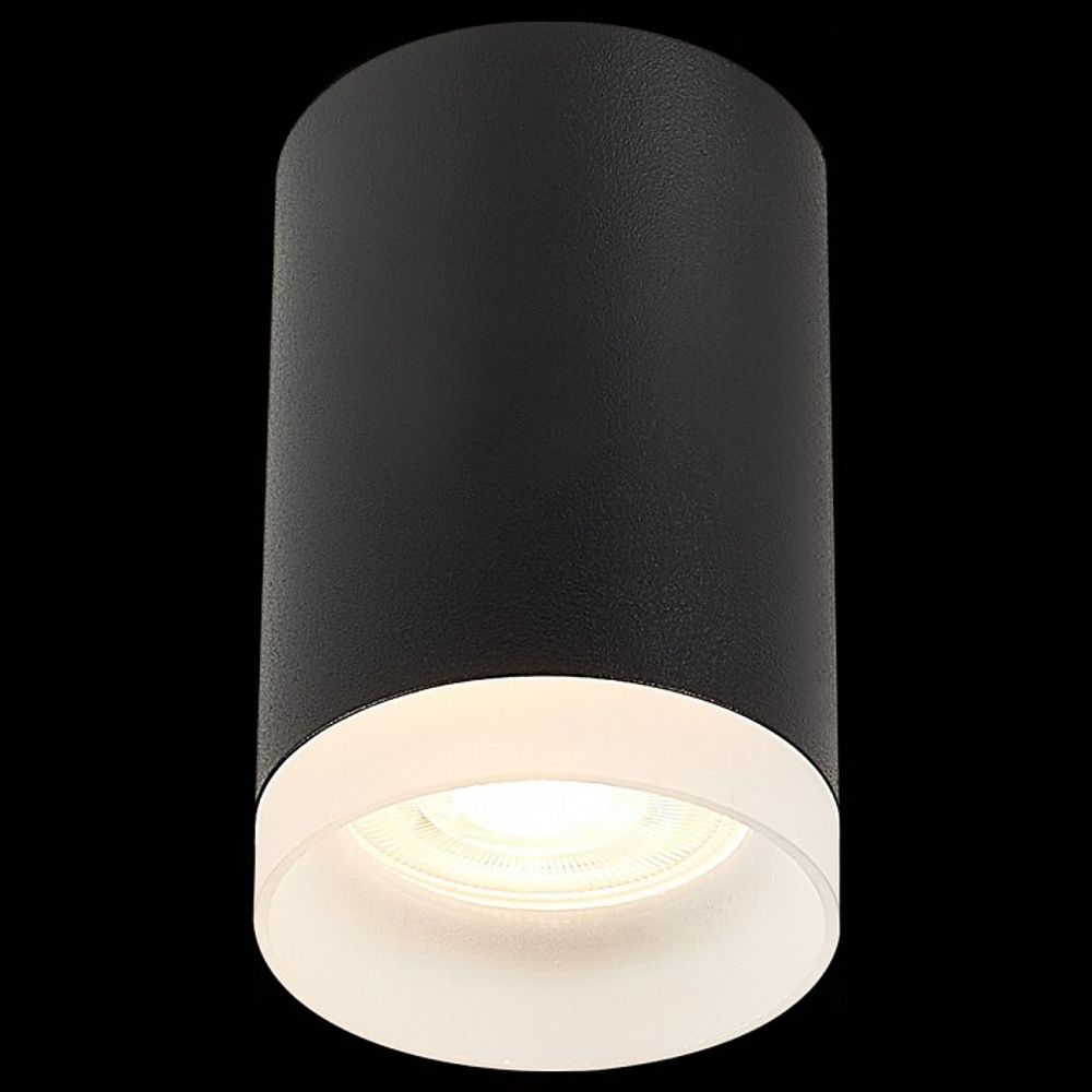 Накладной светильник ST-Luce ST100 ST100.402.01