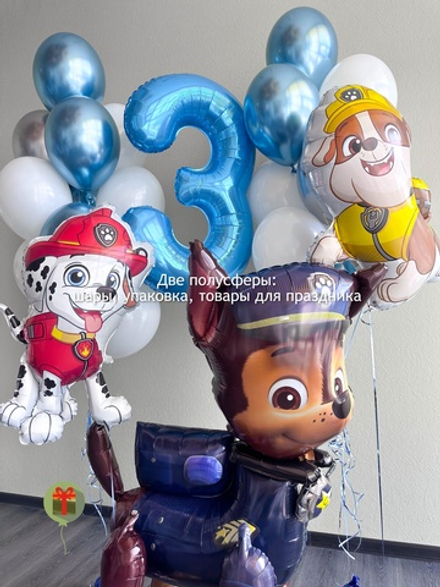 Набор шаров Патруль