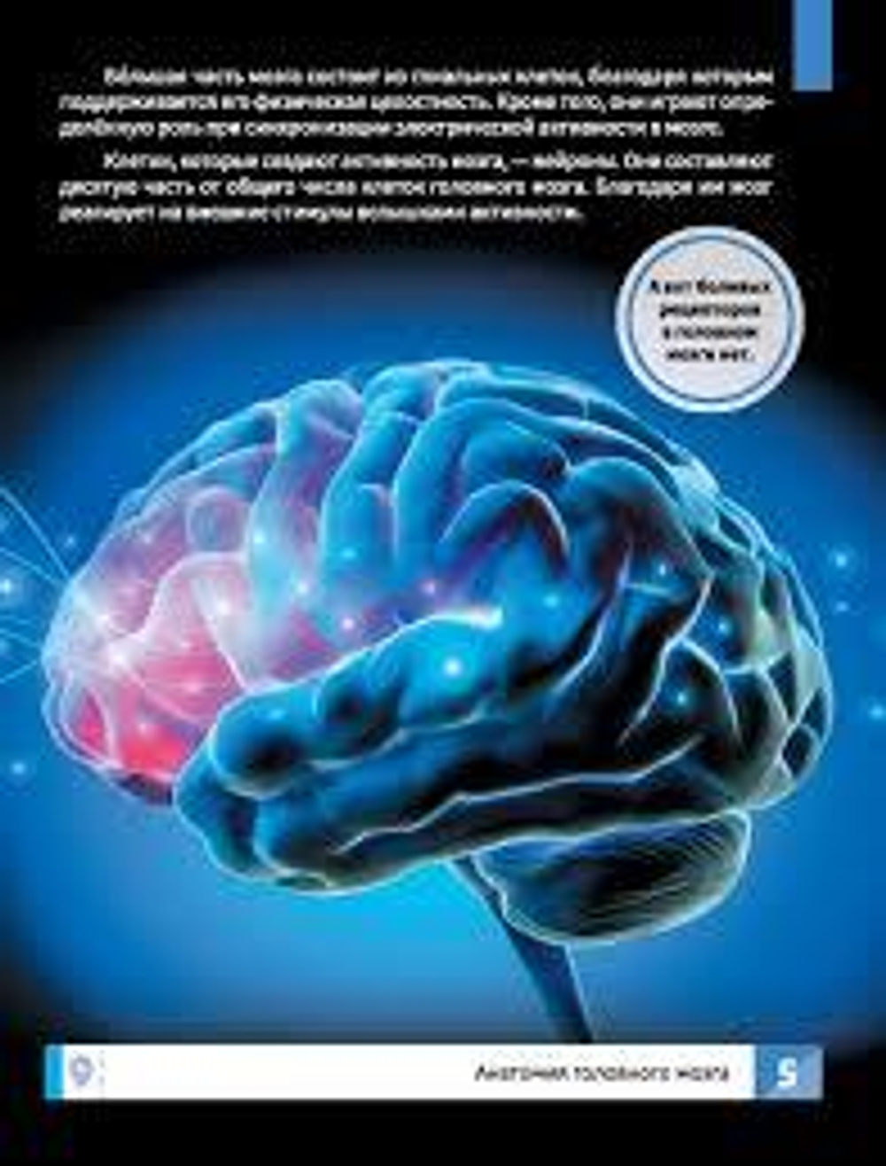 Мозг человека. Самая умная энциклопедия