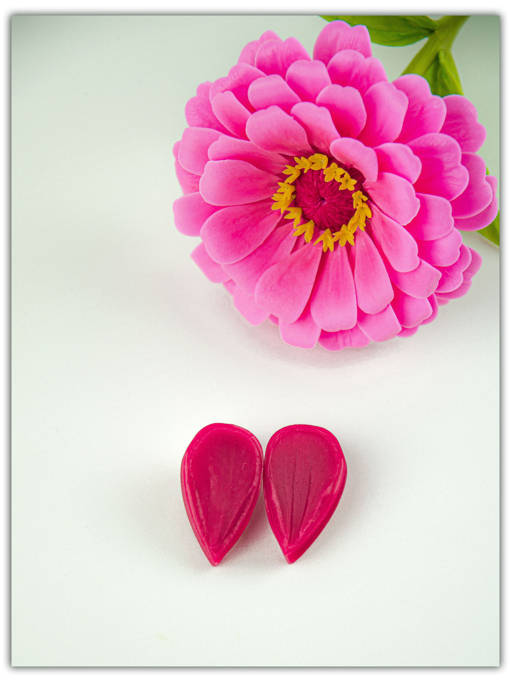 Лепестки циннии