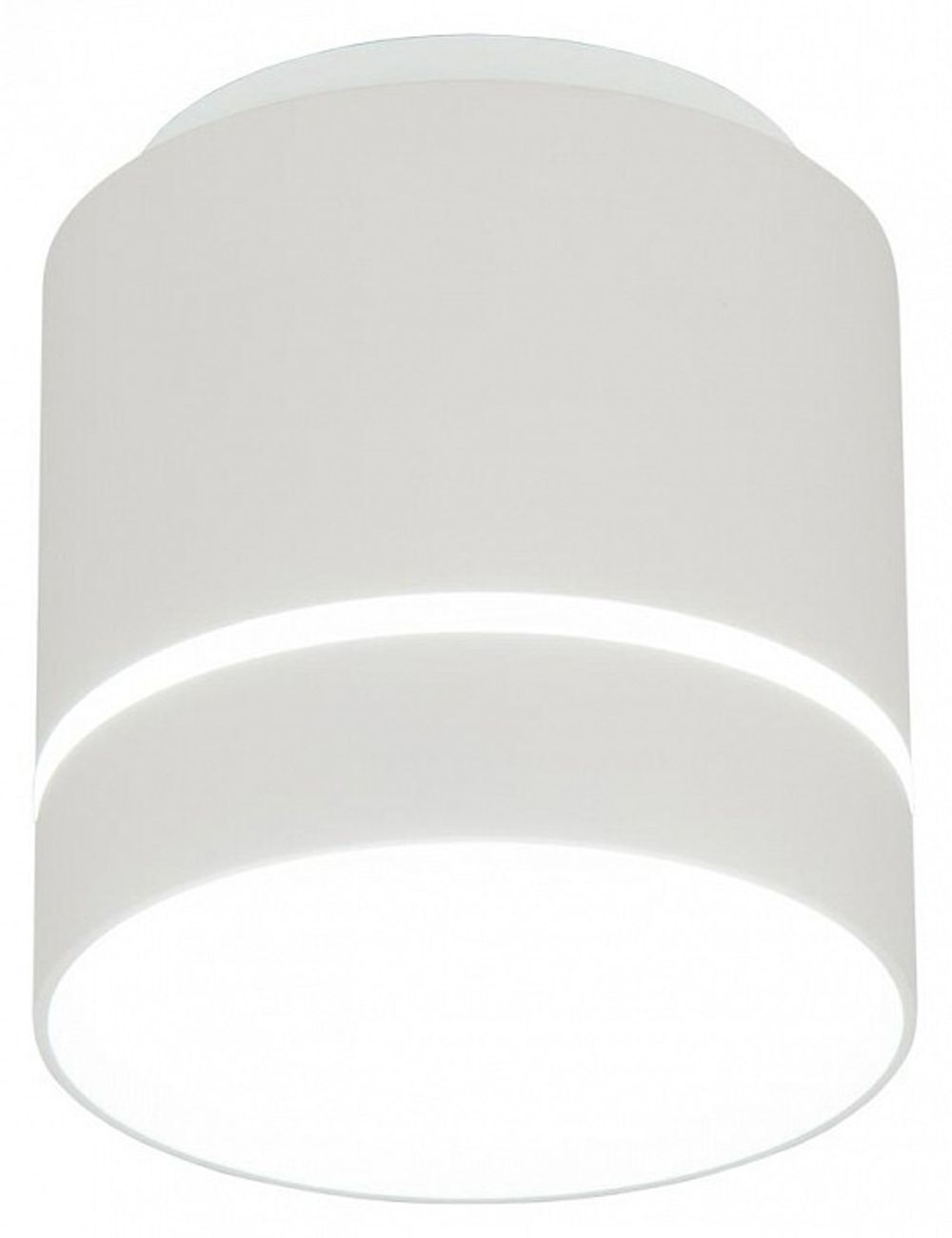 Накладной светильник Citilux Борн CL745020N