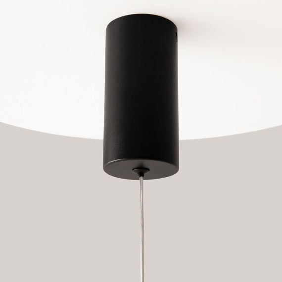 Подвесной светодиодный светильник Maytoni Pro Shade MOD157PL-L6BK