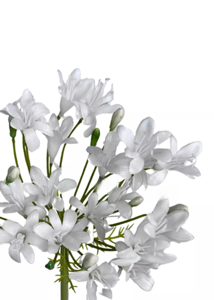 Агапантус 76см