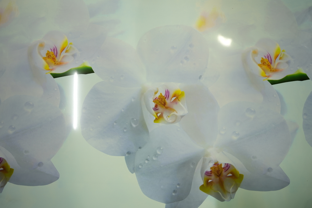 ПАНЕЛЬ ИНТЕРЬЕРНАЯ ПВХ (ФАРТУК) ЕВГЕНИЯ 3000Х600Х1,3ММ