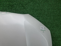 Капот BMW X5 G05 X6 G06 (2018-н.в.)