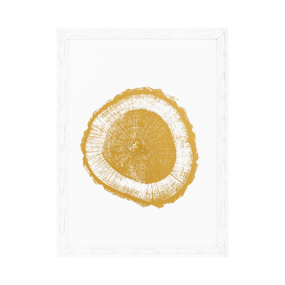 Постер Prints Gold Foil: Tree Rings set of 4 арт.110875
