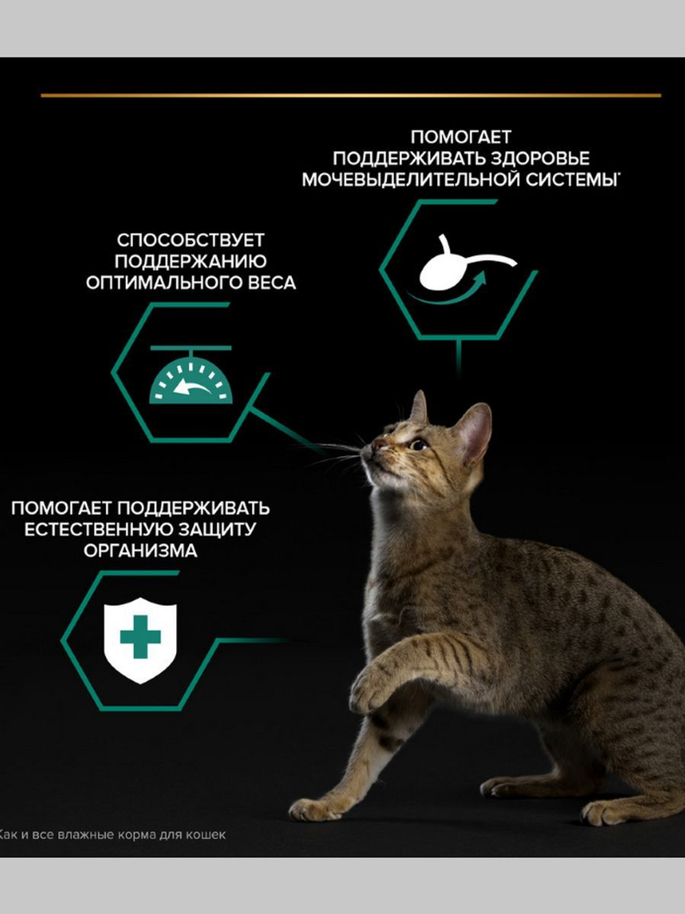 Влажный корм Purina Pro Plan Sterilised MAINTENANCE для стерилизованных кошек - Океаническая рыба в желе (85гр)