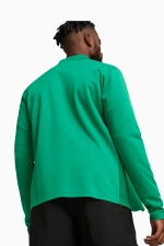 Кофта teamGOAL Training Jacket - зеленый