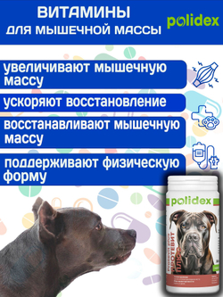 Polidex Protevit Plus для собак, Кормовая добавка для увеличения мышечной массы, Полидек Протевит Плюс, 150 таб