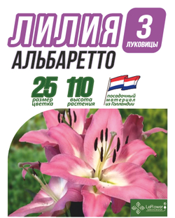 Лилия Луковица, Альбаретто, 3 шт