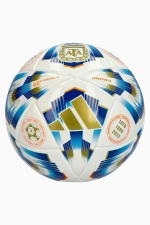 Футбольный мяч adidas Аргентина 2024 размер 1/Mini - белый