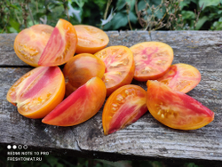 Оранжевая карамель сорт томата