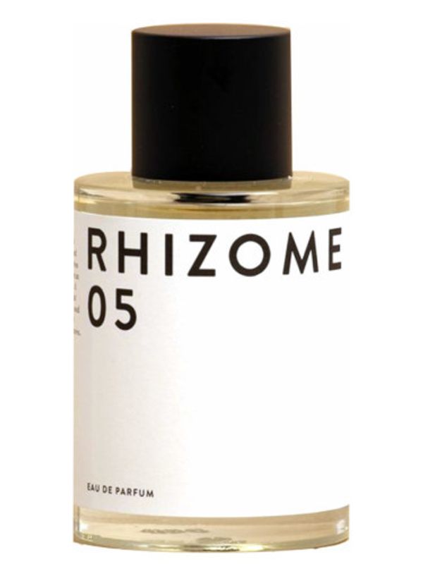 Rhizome 05