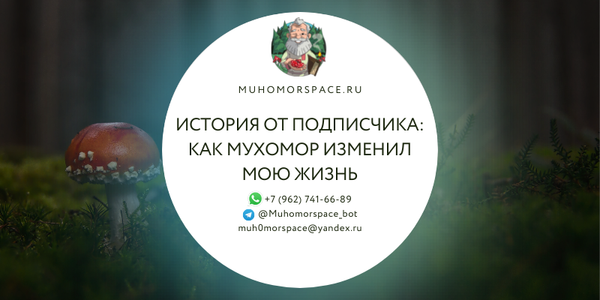 История от подписчика: Как мухомор изменил мою жизнь и помог поменять себя