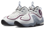Кроссовки Nike Penny "Rosewood" (Женская размерная сетка)