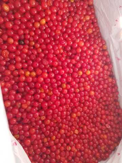 Калина замороженная Россия / Коробка 10кг